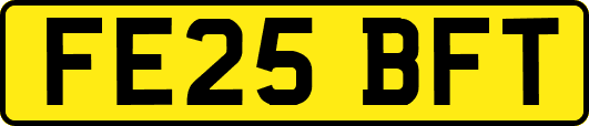 FE25BFT