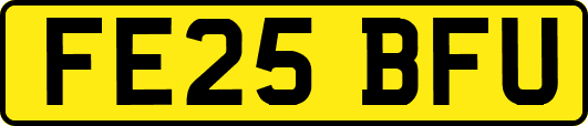 FE25BFU