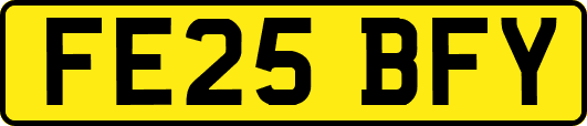 FE25BFY