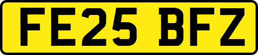 FE25BFZ