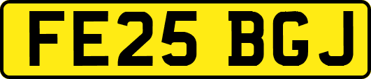FE25BGJ