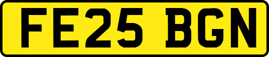 FE25BGN