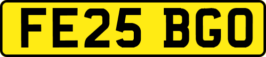 FE25BGO