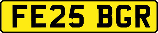 FE25BGR