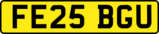 FE25BGU