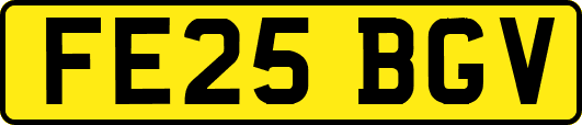 FE25BGV