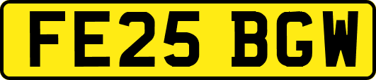 FE25BGW
