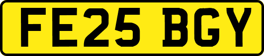 FE25BGY