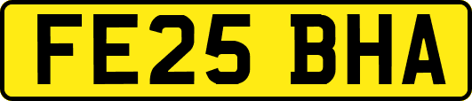 FE25BHA
