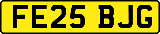 FE25BJG