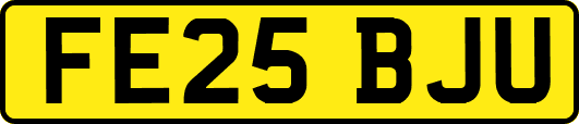 FE25BJU