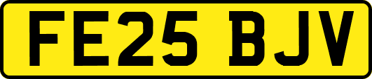 FE25BJV