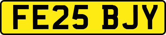 FE25BJY