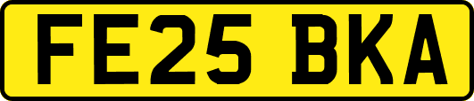 FE25BKA