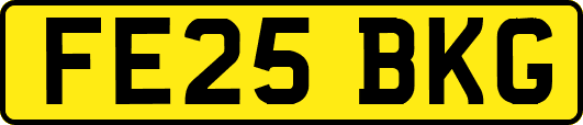 FE25BKG