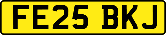 FE25BKJ
