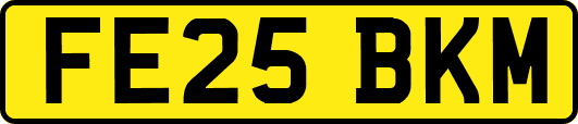 FE25BKM