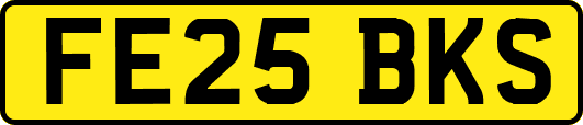 FE25BKS