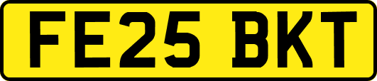 FE25BKT