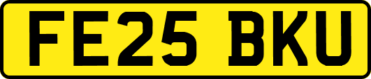FE25BKU
