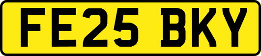FE25BKY
