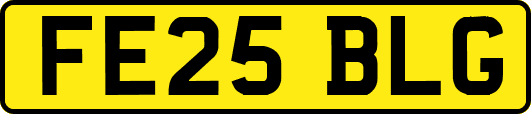 FE25BLG