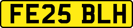 FE25BLH