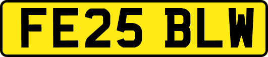 FE25BLW
