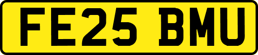 FE25BMU