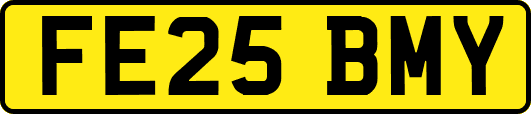 FE25BMY