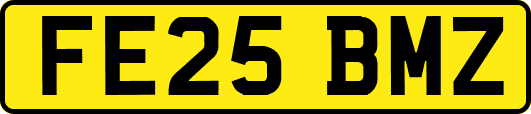 FE25BMZ