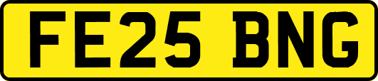 FE25BNG