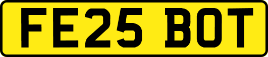 FE25BOT
