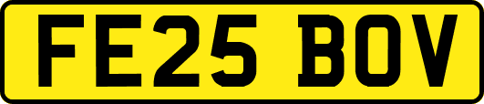 FE25BOV