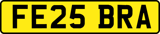 FE25BRA