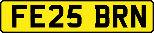 FE25BRN