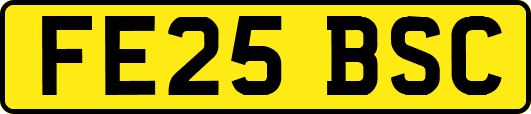 FE25BSC