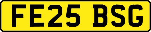 FE25BSG