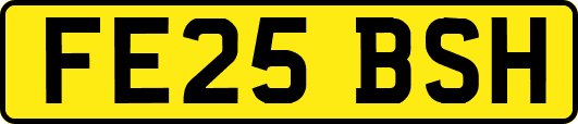 FE25BSH