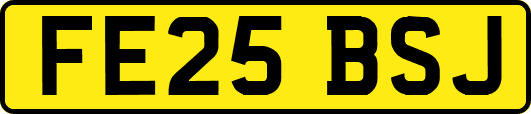 FE25BSJ