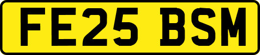 FE25BSM