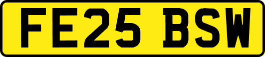 FE25BSW