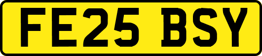 FE25BSY