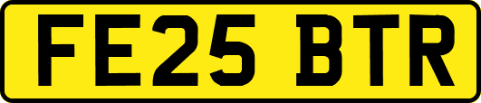 FE25BTR