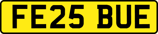 FE25BUE