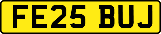FE25BUJ