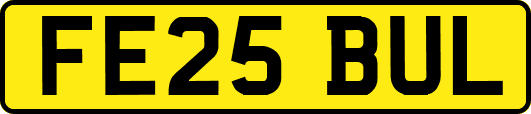 FE25BUL