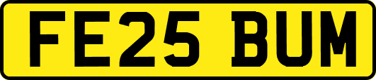 FE25BUM