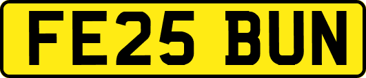 FE25BUN