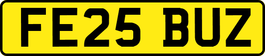 FE25BUZ